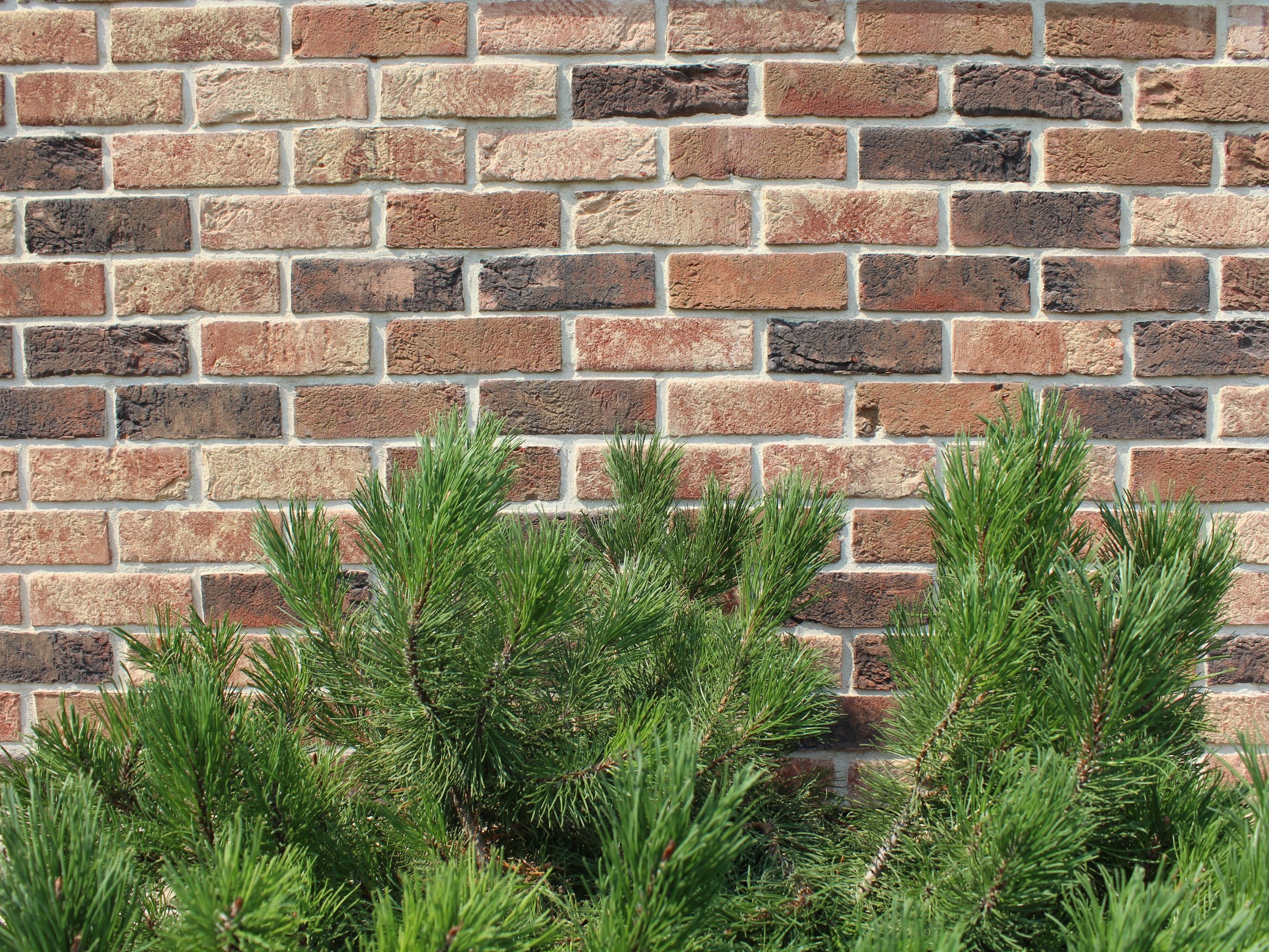 Realizace RD u Prahy | Reference Terca